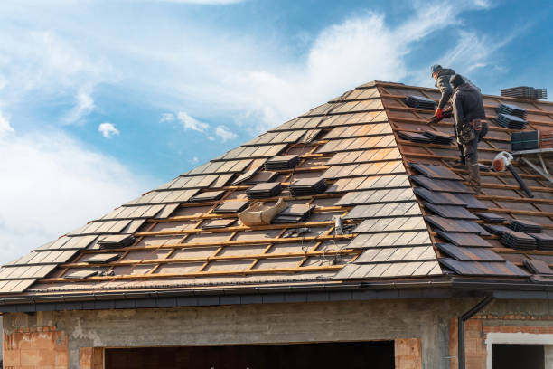 4 Ply Roofing in St Bonifacius, MN